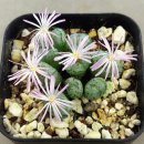 (유)지담 이미지