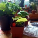 밝은미소스토어 이미지