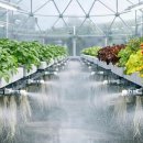 상용농장 이미지