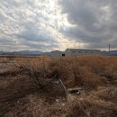 자인농협 하나로마트 이미지