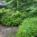 거여공원 화장실 이미지