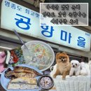 공항낙지마을 | 마시안 갯벌체험장 근처 애견동반 가능한 식당 '공항마을' 방문 후기