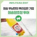 부남버스터미널 | 청송 부남면의 뿌리깊은 기업 청송양조장 투어