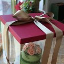 단비케이크 이미지