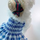 댕블리스 이미지