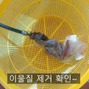 천곡로 이미지