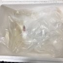 정가떡방