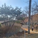 4489 | 남양주 애견동반 3000평 야외 대형카페 바닐라브릭 방문 후기