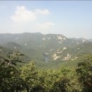 스테이 수림 이미지