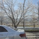 광의사거리 이미지