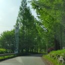 대전 Par3 골프클럽 이미지