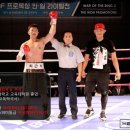 용인대 탑 복싱 이미지