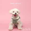 오늘여기우리 - 세종특별자치시 새롬중앙로 59 | 오늘여기우리