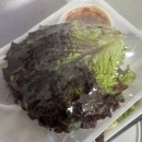 굴선생마늘보쌈 | 강남 배달로 먹기 좋은 굴보쌈 맛집 &#39; 족발신선생 &#39;