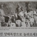 정선광고사 이미지