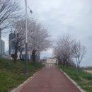 가호동12 이미지