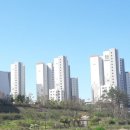 위례대표공인중개사사무소 이미지