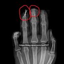 유정행정사 이미지