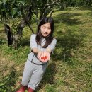 손주들농장 이미지