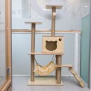 수동물메디컬센터 이미지