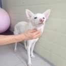 성곡주유소 이미지