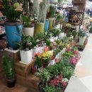 커피 앤 플라워 이미지