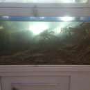 봉곡동235 이미지