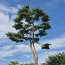 G6001 | 현지인이 쓰는 2025 대한민국 독서대전 김포한강중앙공원 오는 팁