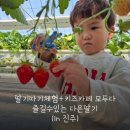 다은농장 네이버블로그