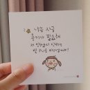 나봄 이미지