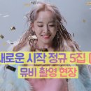 정규앨범 카카오 검색결과