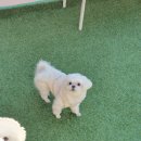 486독캠프 이미지