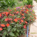 나루터가든 이미지