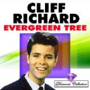 Evergreen Tree - Cliff Richard(클리프 리차드) 이미지