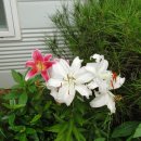 선남농장 이미지