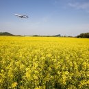 인천국제공항 하늘정원 내 이미지