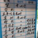 한치목장 | 서귀포 물회 맛집 바다목장 횟집에서 물회 2종, 옥돔구이 식사 후기