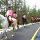 휴양을 위한집 이미지