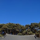 김천사 이미지