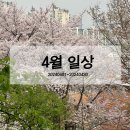 정가네치킨강정 | 24년 04월 한 달 일상