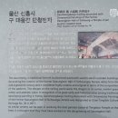 신흥사 구 대웅전 단청반자 이미지