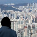 5058 헤럴드경제
