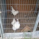 대복농장 이미지