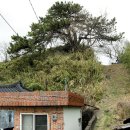 유포석보 이미지