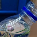 송현농장 이미지