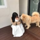 라이앤미 이미지