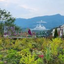 보람고등학교 이미지