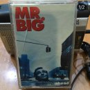 미스터빅 이미지