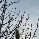 일출농장 이미지