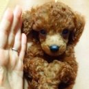 이안세탁소 이미지